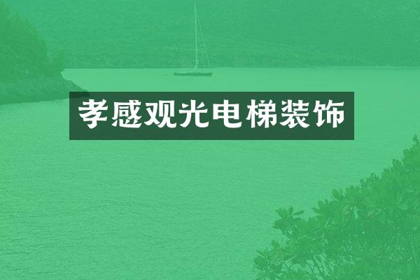 孝感观光电梯装饰