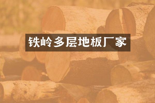 铁岭多层地板厂家