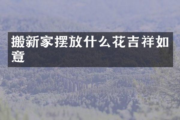 搬新家摆放什么花吉祥如意