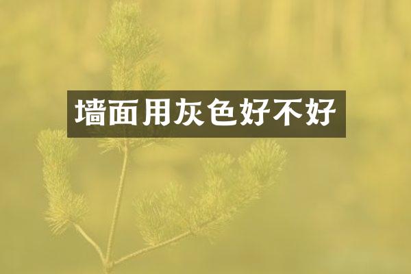 墙面用灰色好不好