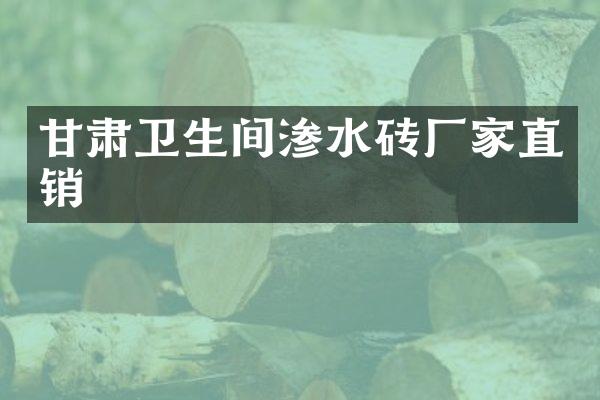 甘肃卫生间渗水砖厂家直销