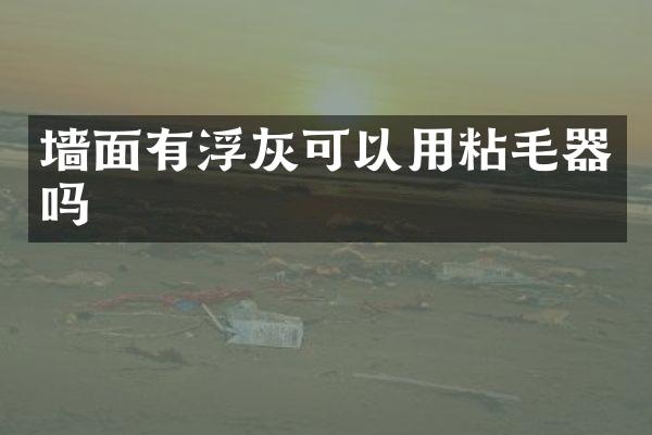 墙面有浮灰可以用粘毛器吗