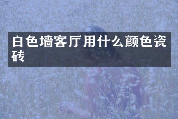 白色墙客厅用什么颜色瓷砖