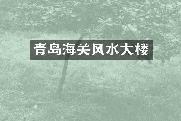 青岛海关风水大楼