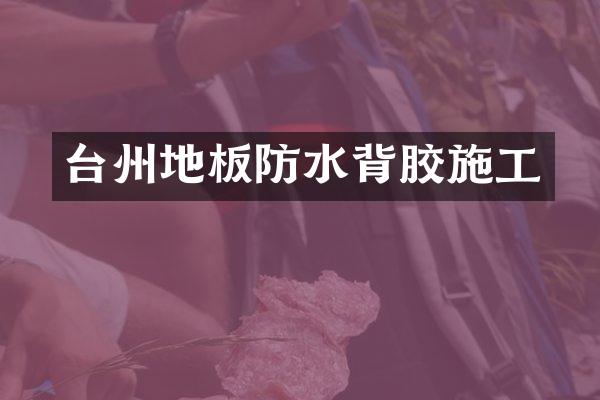 台州地板防水背胶施工