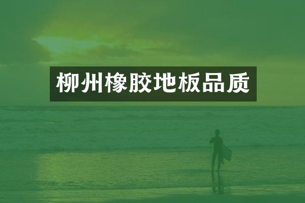 柳州橡胶地板品质