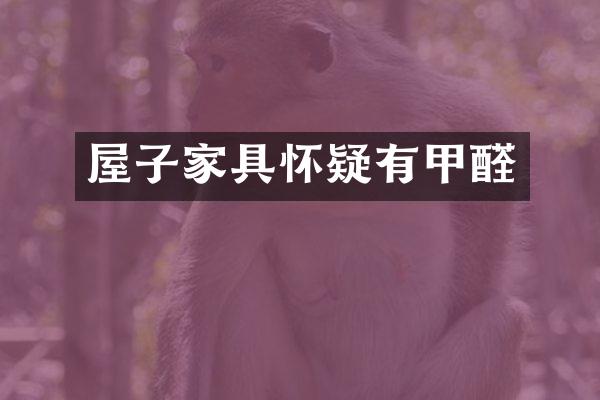 屋子家具怀疑有甲醛