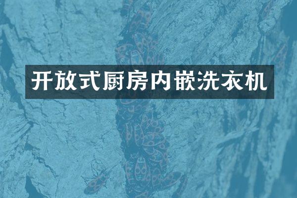 开放式厨房内嵌洗衣机