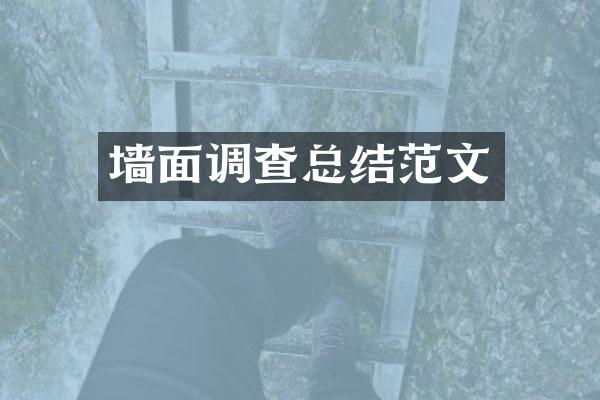 墙面调查总结范文