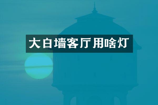 大白墙客厅用啥灯