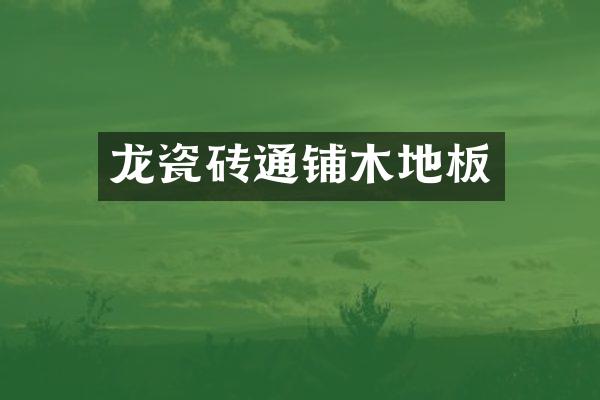 龙瓷砖通铺木地板
