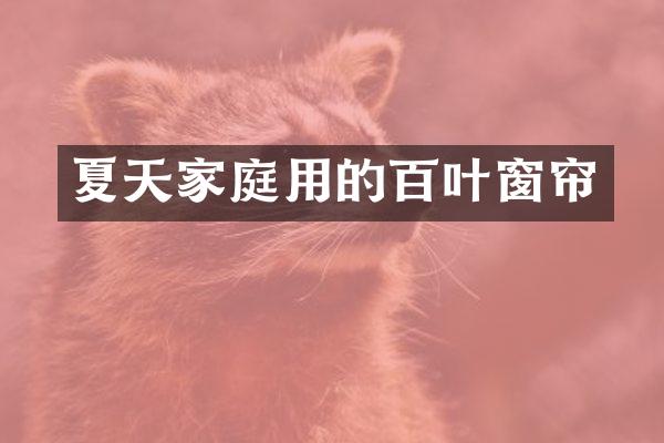 夏天家庭用的百叶窗帘