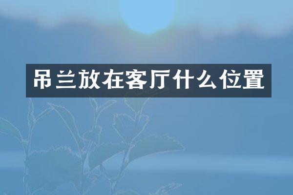 吊兰放在客厅什么位置