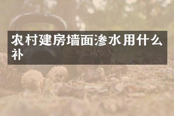 农村建房墙面渗水用什么补