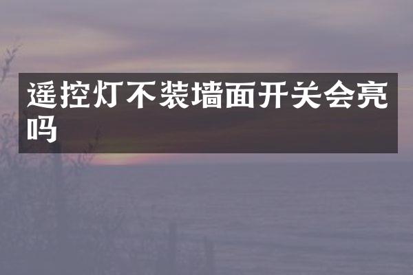 遥控灯不装墙面开关会亮吗
