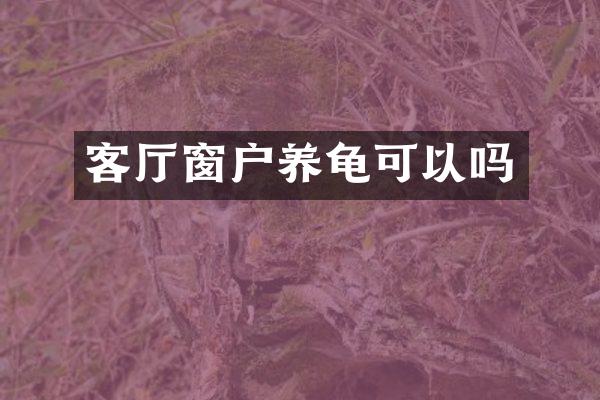 客厅窗户养龟可以吗