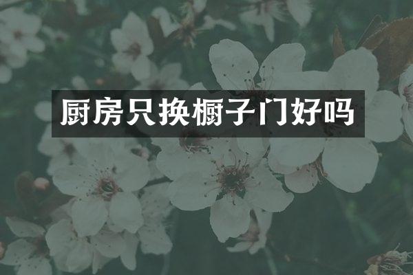 厨房只换橱子门好吗