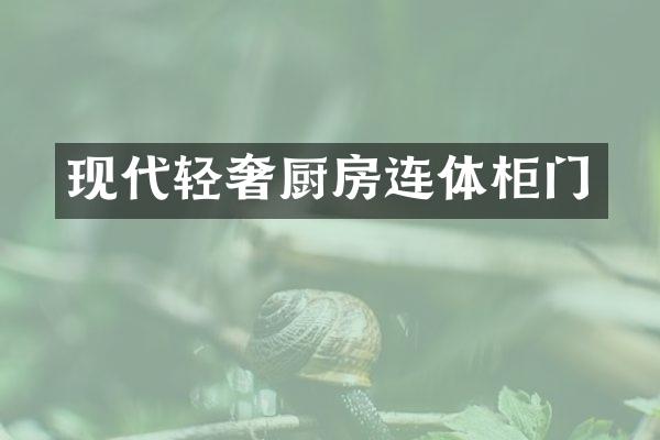 现代轻奢厨房连体柜门