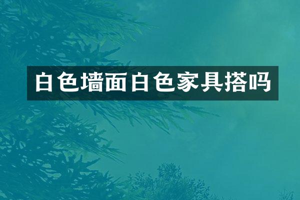 白色墙面白色家具搭吗