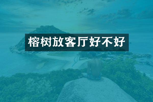 榕树放客厅好不好
