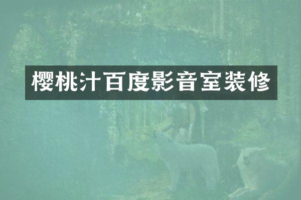 樱桃汁百度影音室装修