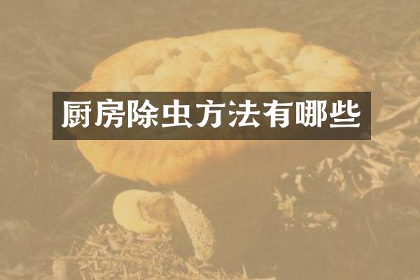 厨房除虫方法有哪些