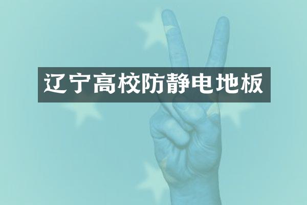 辽宁高校防静电地板
