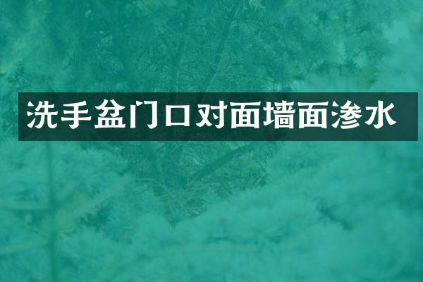 洗手盆门口对面墙面渗水