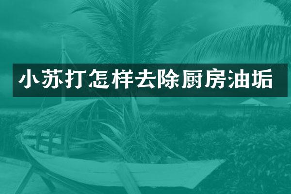 小苏打怎样去除厨房油垢