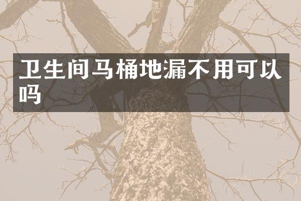 卫生间马桶地漏不用可以吗