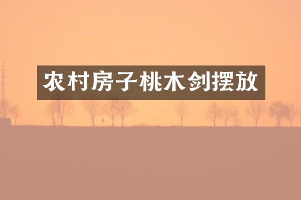 农村房子桃木剑摆放