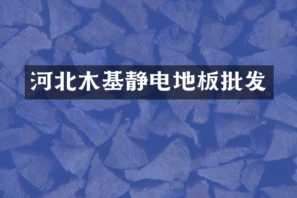 河北木基静电地板批发