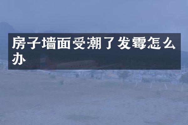 房子墙面受潮了发霉怎么办