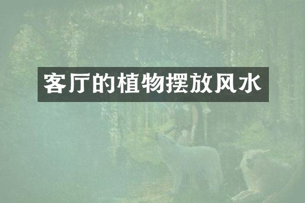 客厅的植物摆放风水