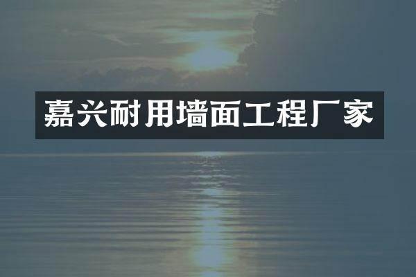 嘉兴耐用墙面工程厂家