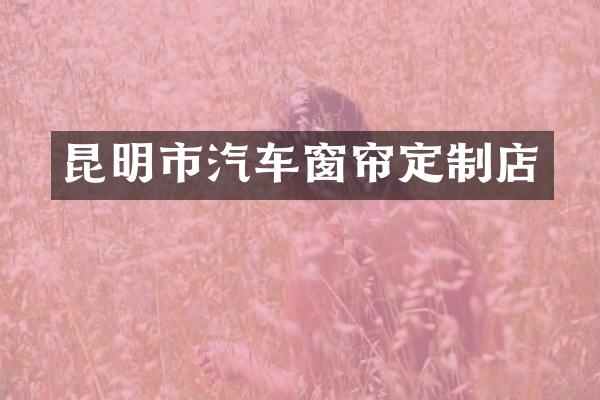 昆明市汽车窗帘定制店