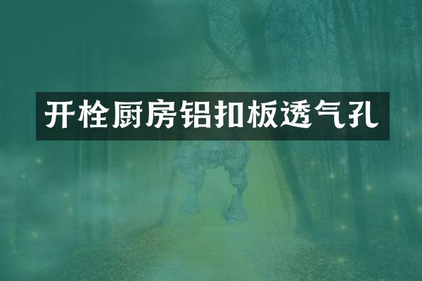 开栓厨房铝扣板透气孔