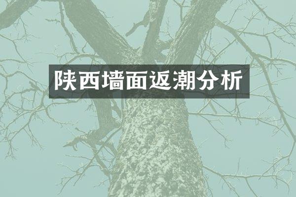 陕西墙面返潮分析