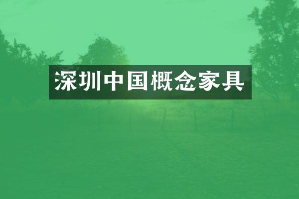 深圳中国概念家具