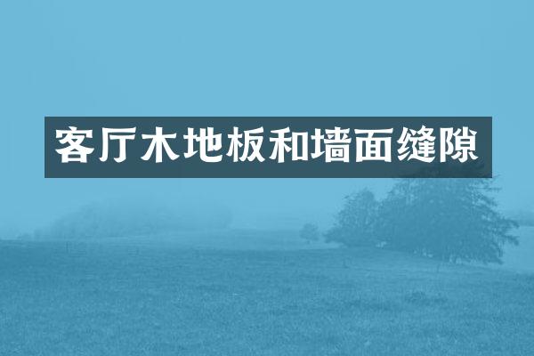 客厅木地板和墙面缝隙