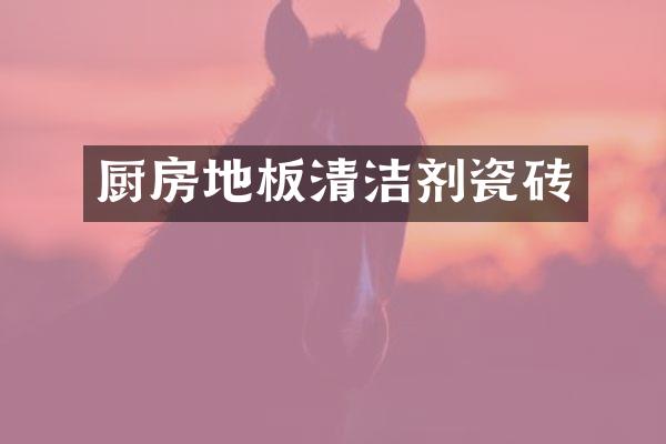 厨房地板清洁剂瓷砖
