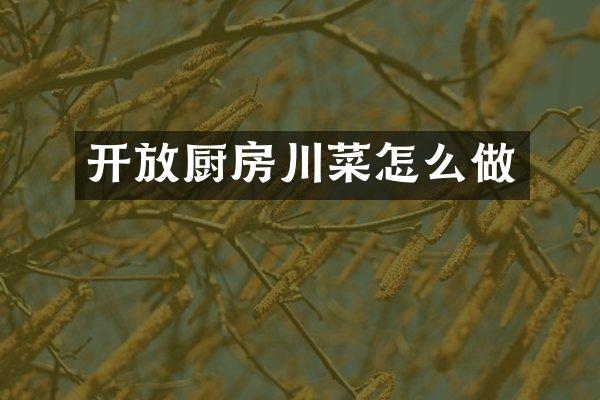 开放厨房川菜怎么做