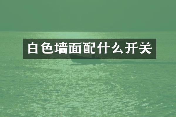 白色墙面配什么开关