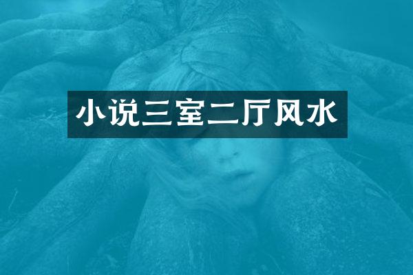 小说三室二厅风水
