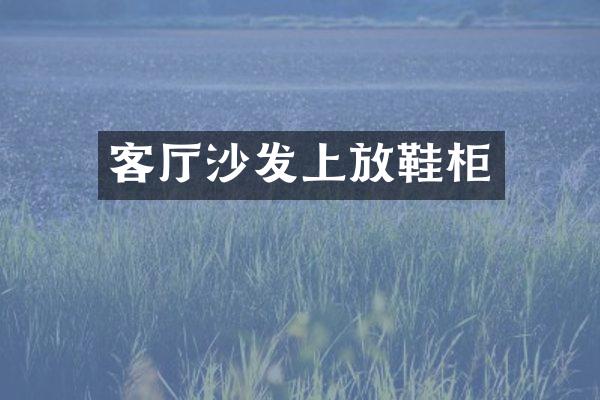 客厅沙发上放鞋柜