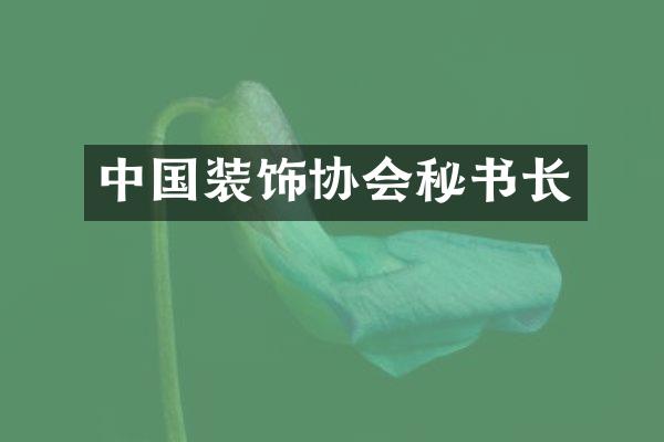 中国装饰协会秘书长