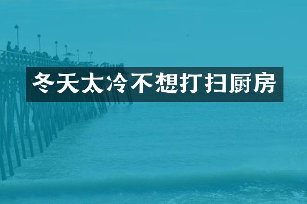 冬天太冷不想打扫厨房