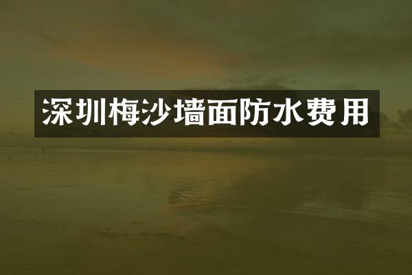 深圳梅沙墙面防水费用