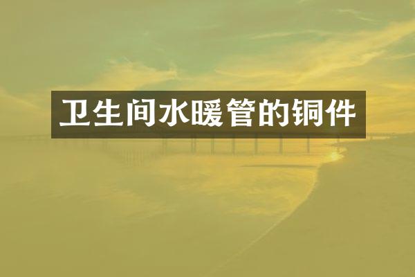 卫生间水暖管的铜件