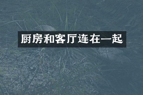 厨房和客厅连在一起